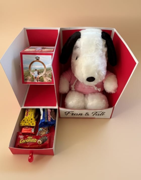 Box Snoopy